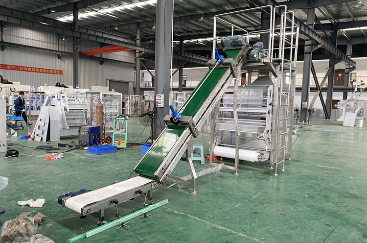 Secondary packing machine