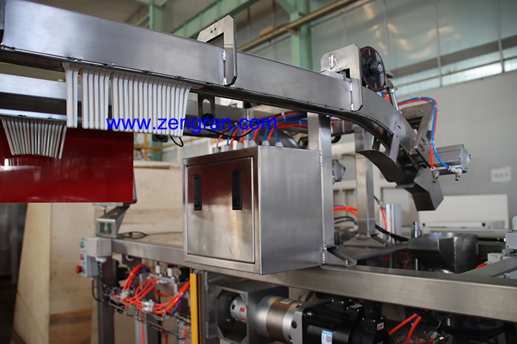 auto washing powder packing machine